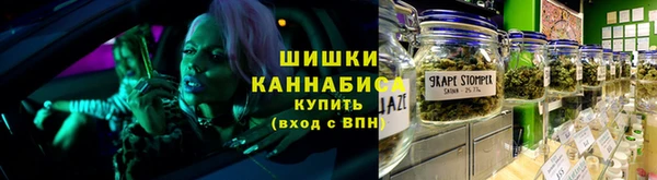спайс Каменка