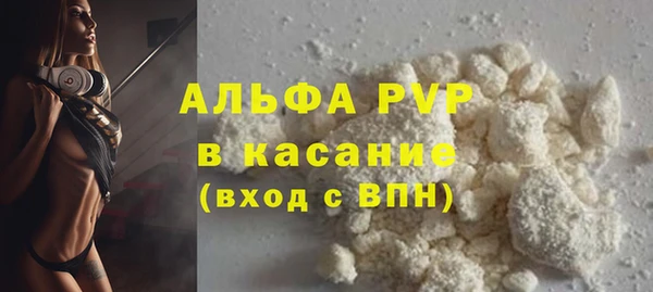 спайс Каменка