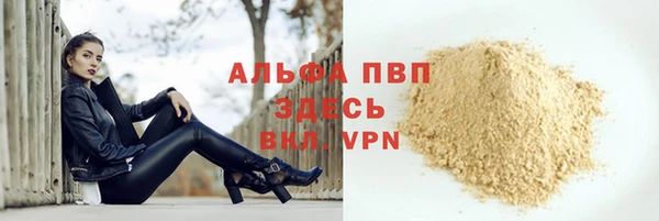 спайс Каменка