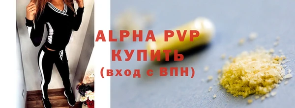 спайс Каменка
