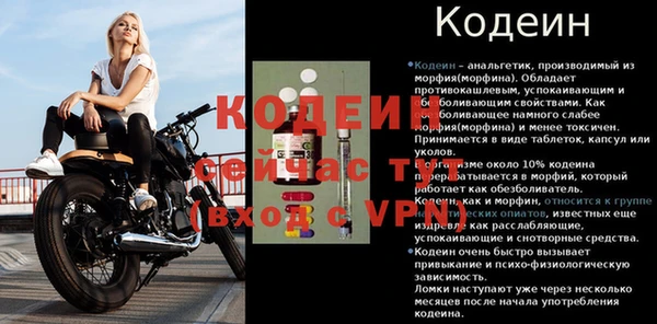 спайс Каменка