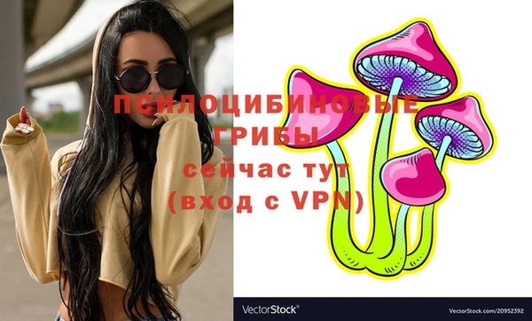 гашик Каменск-Шахтинский