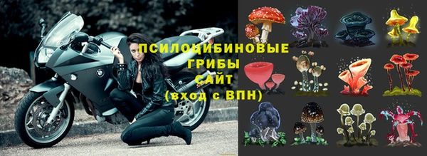 спайс Каменка
