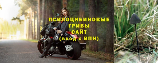 спайс Каменка