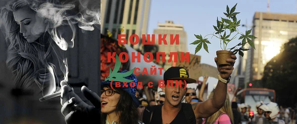 спайс Каменка