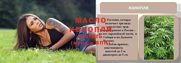 спайс Каменка