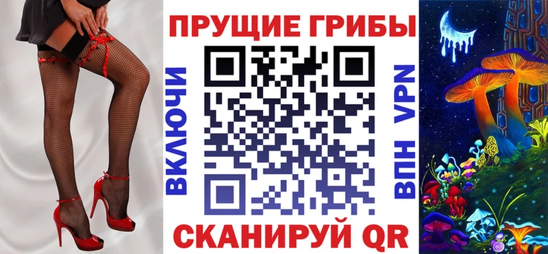Купить  Белокуриха  Галлюциногенные грибы Psilocybine cubensis 